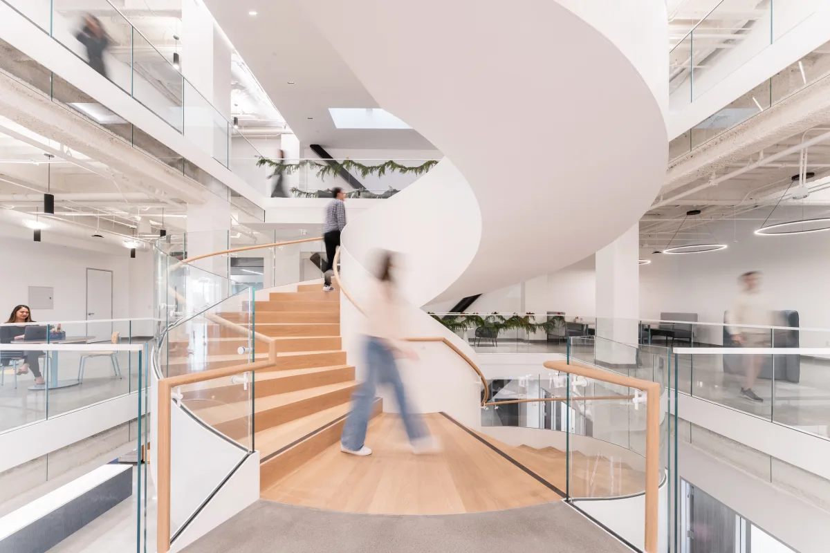 MetaSnake office