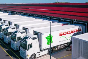 Socafna