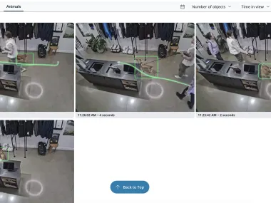 Identify Animal Sightings with Animal Detection